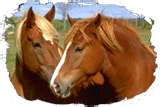 les amoureux